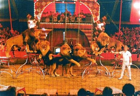 Listen to barnum circus | soundcloud is an audio platform that lets you listen to what you love and share the stream tracks and playlists from barnum circus on your desktop or mobile device. The Circus "NO SPIN ZONE": Gerd Simoneit-Barum