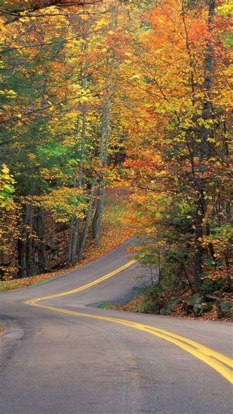 Road Wallpaper Curvy Autumn Road Forest Wallpapers 39851