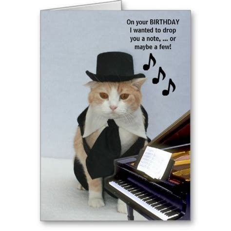 Customizable Funny Cat Card Cat Greeting Cards Funny