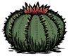 After setting the plant down in the right spot, remember to water it. Cactus - Don't Starve Wiki