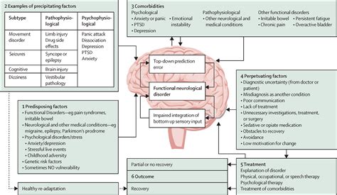 Functional Neurological Disorder New Subtypes And Shared Mechanisms The Lancet Neurology