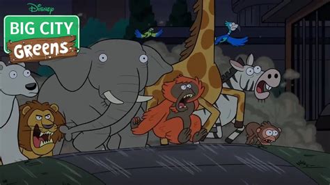 The Zoo Animals Escape Clip Uncaged Big City Greens Youtube