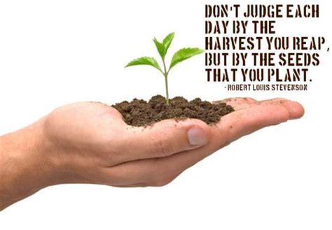Quotes About Planting A Seed 63 Quotes
