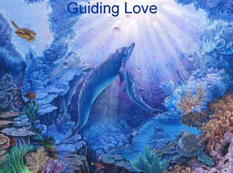 Guiding Love Belinda Leigh Galleries Image 25 Of 47 Marine Life