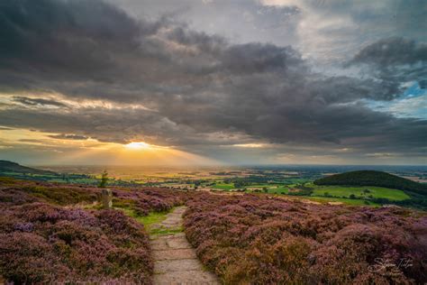 North York Moors Heather Bloom 2019 Northern Landscapes By Steven Iceton