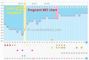 Bbt At Different Times 5 Impact Factors Ovulationdiary Com