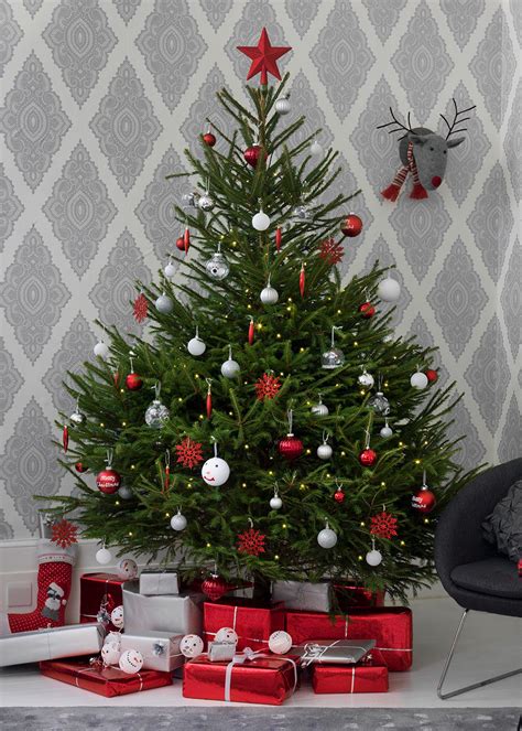 Christmas decoration list with pictures & names of the best types of christmas decor! Real Christmas trees - how to buy, decorate and care for ...