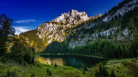 Lake Surrounded By Green Trees With White Covered Mountain In Bernese