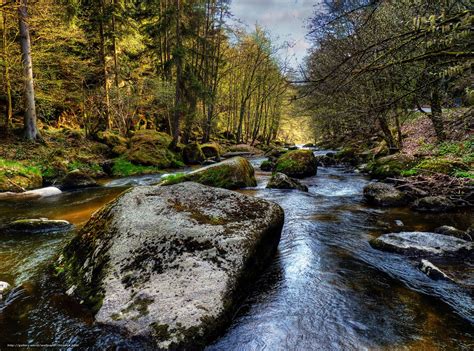 Descarca Imagini De Fundal Pădure Râu Pietre Natură Imagini De