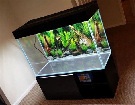 Modern Optiwhite Fish Tank Aquarium With Stand Lid Cleaned In