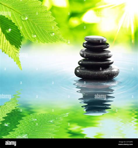 Leaves Zen Stones Hi Res Stock Photography And Images Alamy