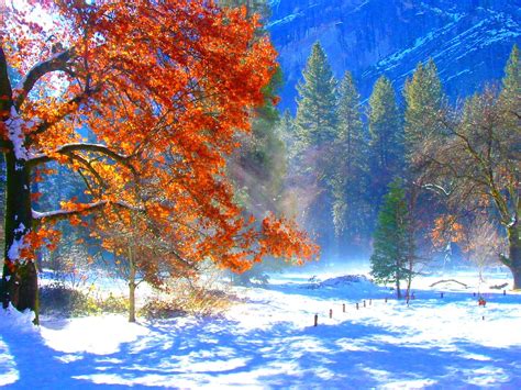 Yosemite Fall Colors In Winter Taken From The Back Of