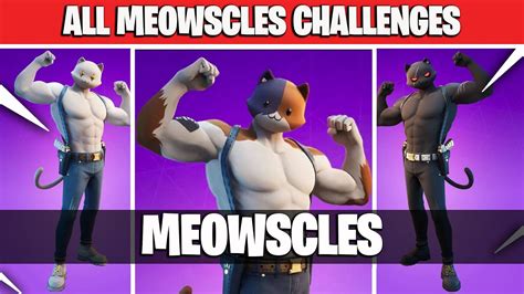 Meowscles Challenges In Fortnite Youtube