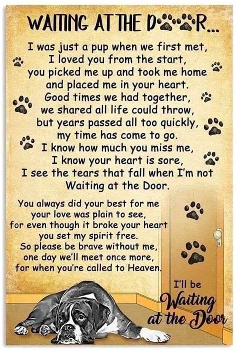 Pin By Angella Fuller On Pawsitive Thoughts Dog Heaven Dog Poems