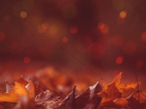 Autumn Leaves Bokeh Worship Background Sharefaith Media