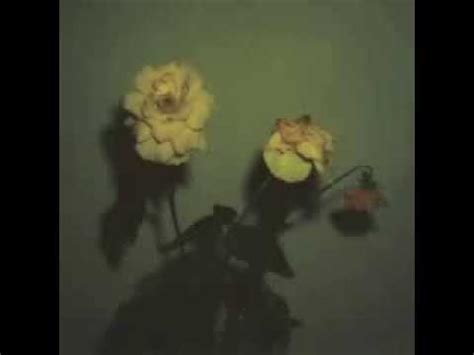 I want to see them once again as i place them on my table, and then they will be my friend and i will greet them while i am able. Blu & Exile - Give Me My Flowers While I Can Smell Them ...