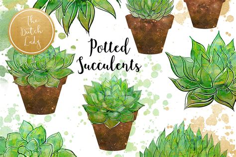 I love combining my succulents into miniature indoor gardens! Succulent Potted Plant Clipart Set By The Dutch Lady ...
