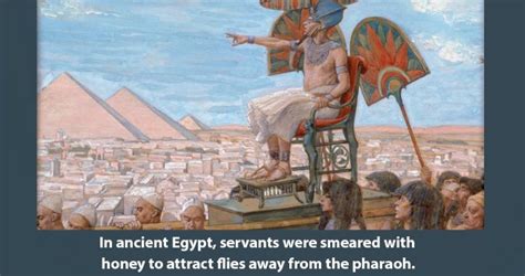 55 Interesting History Facts You Wont Learn Anywhere Else