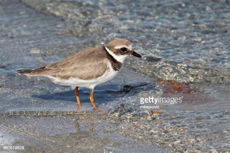 Mar Menor Photos And Premium High Res Pictures Getty Images