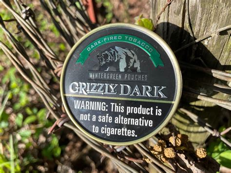 Grizzly Dark Wintergreen Pouches American Snuffdip Review 19