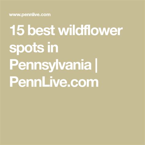 15 Best Wildflower Spots In Pennsylvania Wild Flowers Spots