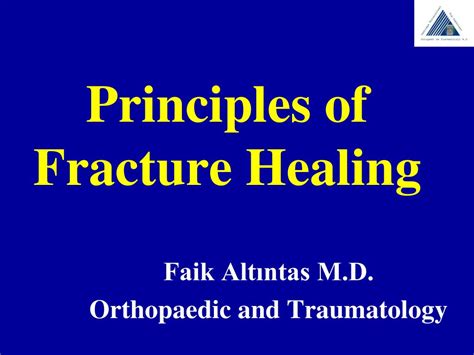Ppt Principles Of Fracture Healing Powerpoint Presentation Free