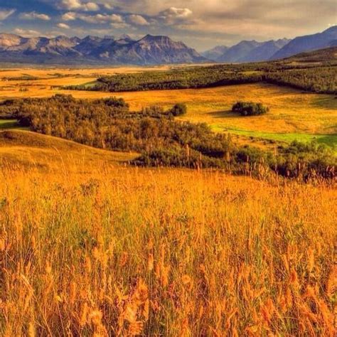 Where The Prairies Meet The Mountains In Southern Alberta Prairie