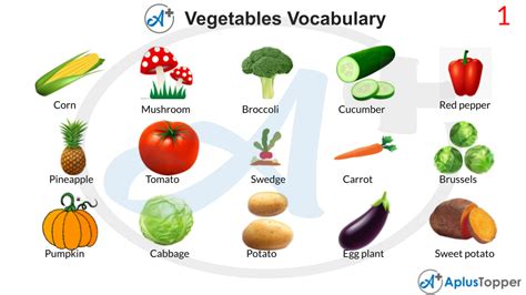 Vegetables Vocabulary English List Of Vegetable Vocabulary With