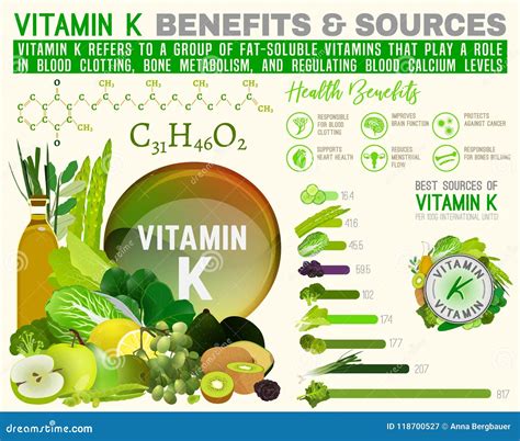 Vitamina K Infographic Ilustración Del Vector Ilustración De Sano