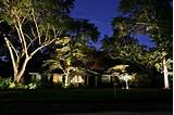 Photos of Outdoor Low Voltage Led Landscape Lighting