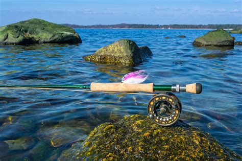Saltwater Fly Fishing Picking The Best Reel And Cast