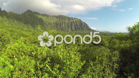 Aerial Fly Over Hawaii Lush Forrest And Mountain Ridge Stock Footage