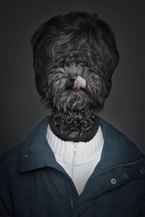 Underdogs Features Amazing Dog Human Hybrid Portraits Walking The Blog