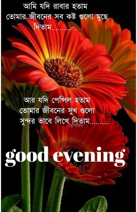 Tagore Quotes Good Evening Greetings Bangla Quotes Beautiful Rose