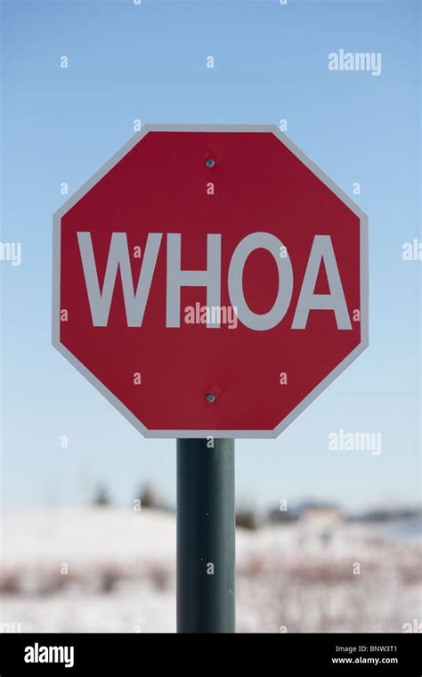 Stop Sign With The Word Whoa On It Stock Photo Alamy