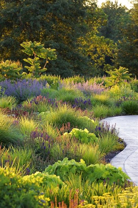 Designing With Ornamental Grasses