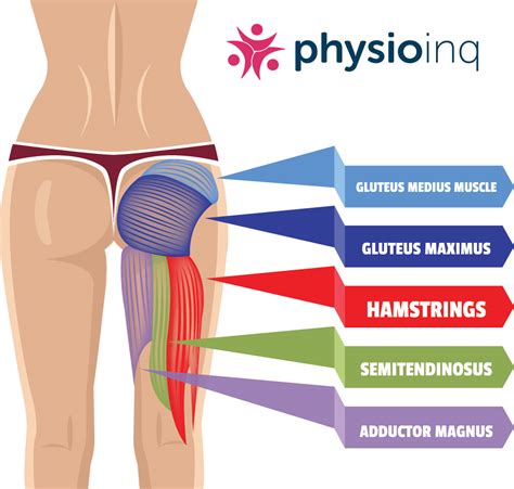 Hamstrings Injuries Treatment Strategies