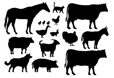 Illustration Drawing Style Of Farm Animals Collection Download Free