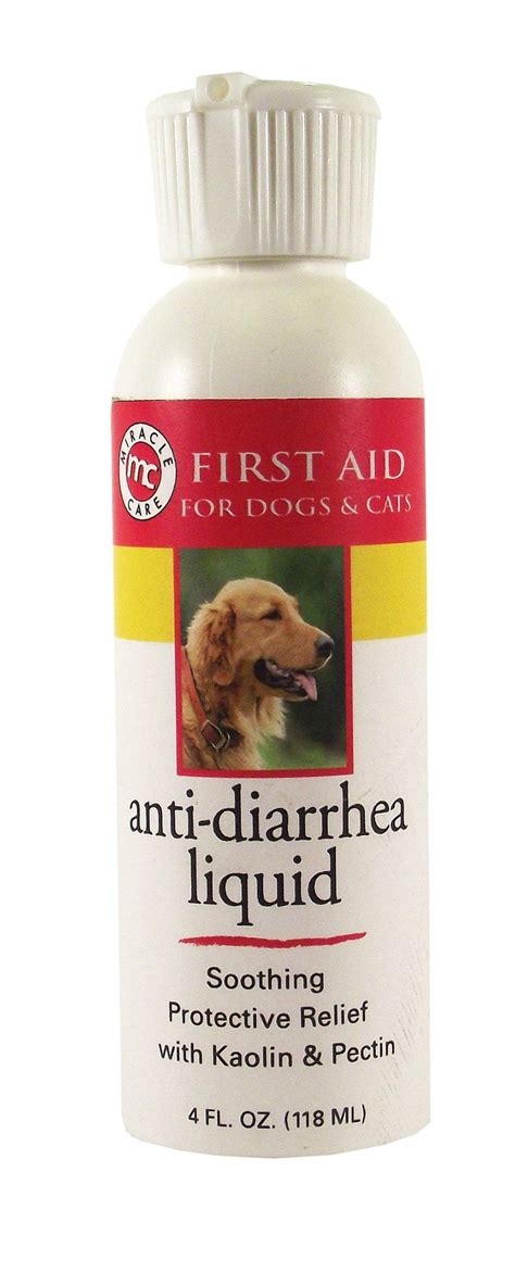 Can You Give Dogs Anti Diarrhea Medicine