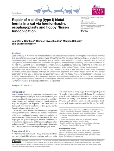 Pdf Case Report Repair Of Sliding Type I Hiatal Hernia In A Cat