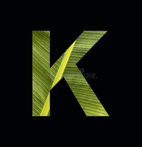 Alphabet Letter K Banana Plant Leaf Background Stock Image Image Of