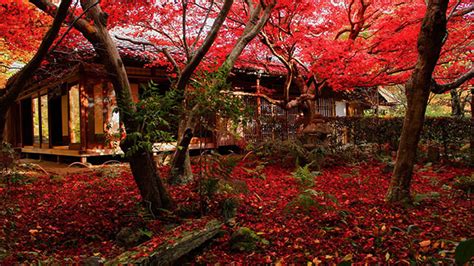 《京都 厭離庵》藤原定家の山荘跡に建つ散り紅葉の名所 Mar Ker