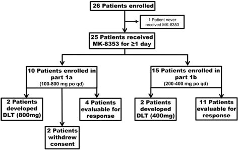 Patient Flow Chart Clinical Trial