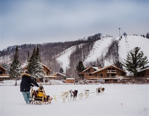 Shanty Creek Resort Dog Sled Rides Snow Tubing And Downhill Skiing Are