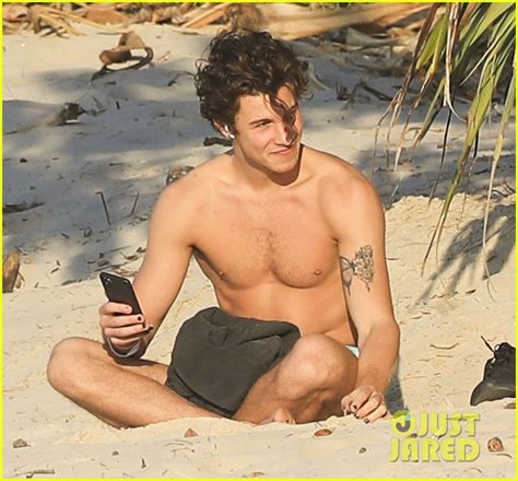 Shawn Mendes Strips Shirtless For A Day At The Beach Photo 4382429