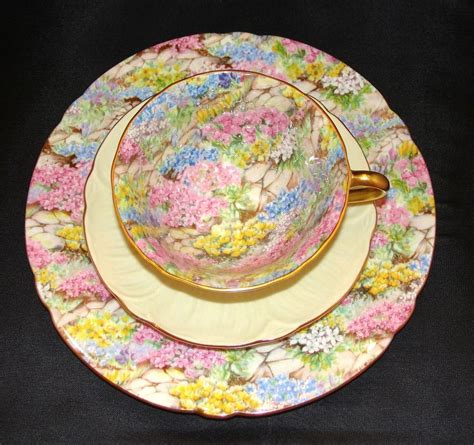 Shelley Oleander Rock Garden Chintz Cup Saucer And Ripon Shaped 8