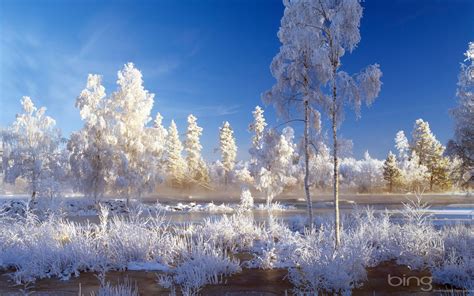 Free Download Bing Winter Landscape Picture 1920x1080