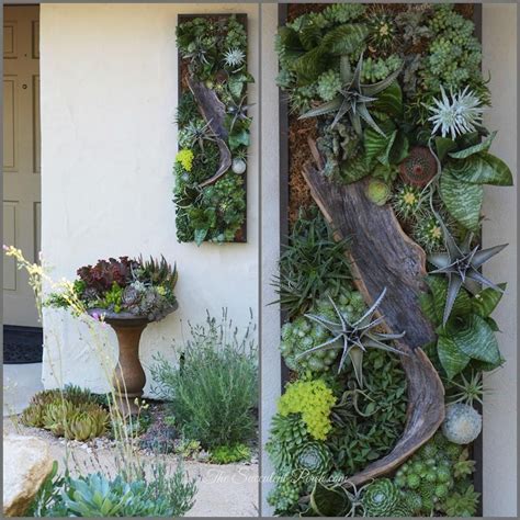 Succulent Vertical Wall Featuring A Combination Of Succulents Cacti