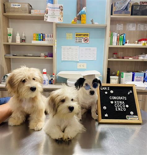 Here’s the first... - Good Shepherd Veterinary Clinic Liloan