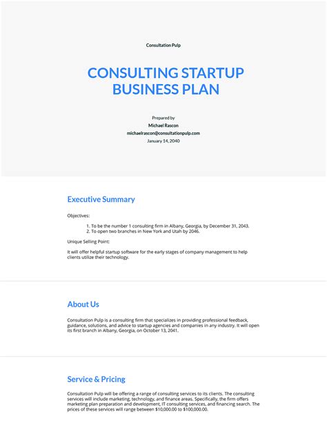 Consulting Business Plan Template Word